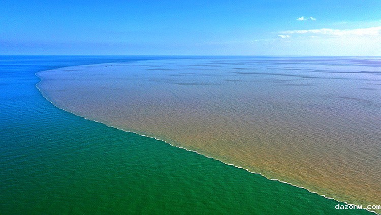 学校思政教学能力比赛和班主任能力比赛课程建设与作品指导服务采购招标公告